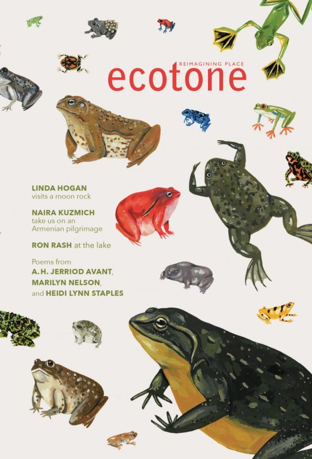 Ecotone-23-Cover-Online-768x1129.jpg